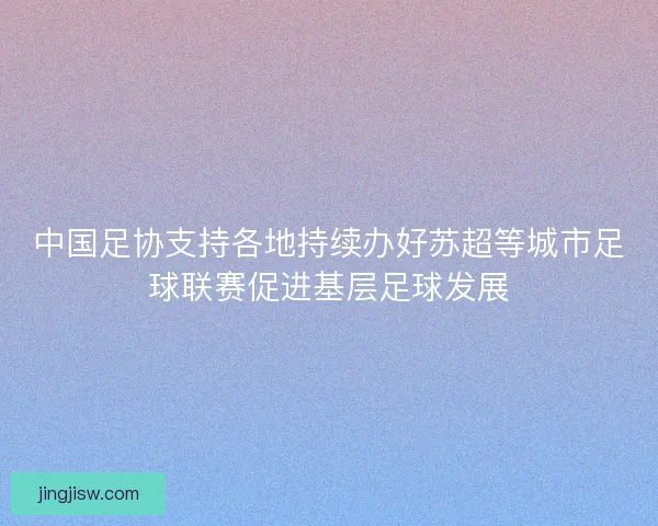 中国足协支持各地持续办好苏超等城市足球联赛促进基层足球发展